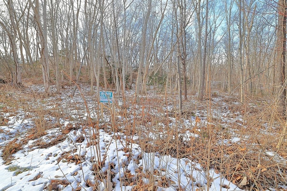 ロイヤルシティ鹿部リゾート D街区54-1号地 売土地