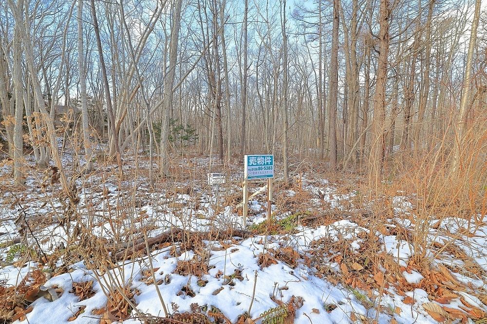ロイヤルシティ鹿部リゾート D街区54-1号地 売土地