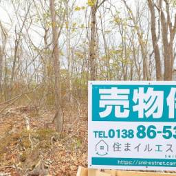 ロイヤルシティ鹿部リゾート Z街区98号地 売土地 林間型別荘地でスローライフ!憧れの田舎暮らしを始めよう!