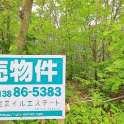 ロイヤルシティ鹿部リゾート F街区1169号地 売土地 林間型別荘地でスローライフ!憧れの田舎暮らしを始めよう!