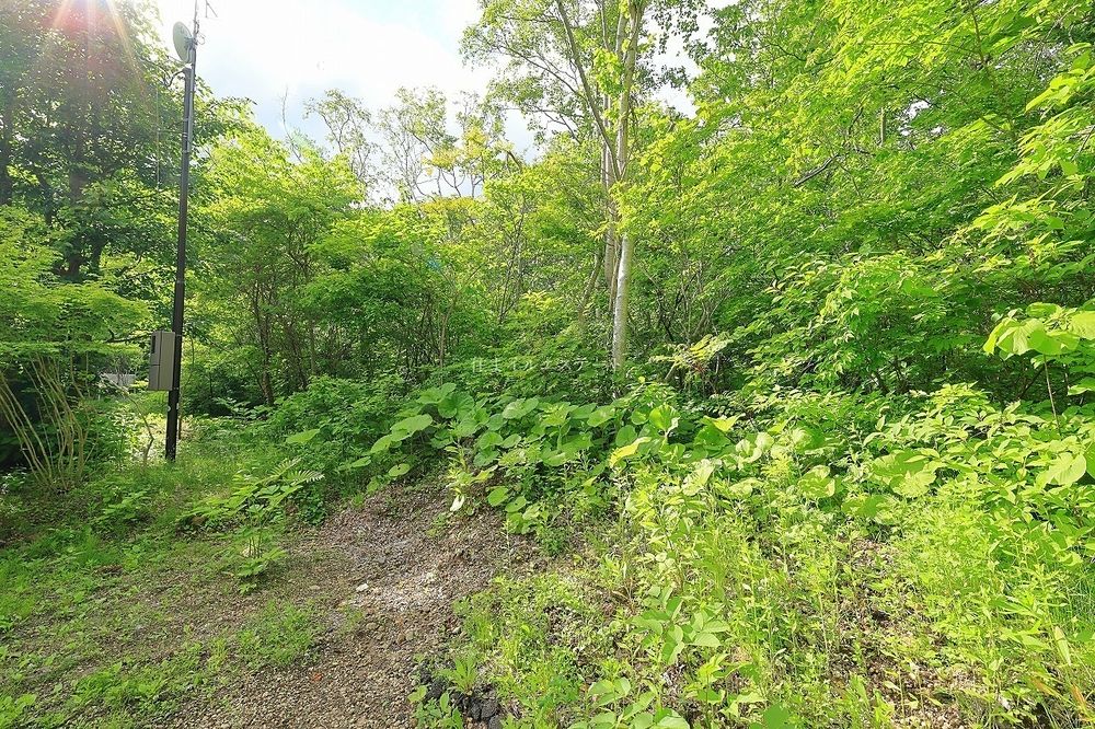 ロイヤルシティ鹿部リゾート Y街区31号地 売土地