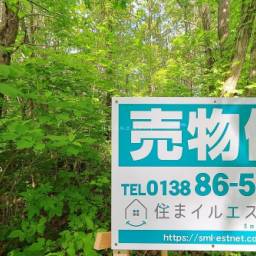 ロイヤルシティ鹿部リゾート B街区19号地 売土地 林間型別荘地でスローライフ!憧れの田舎暮らしを始めよう!